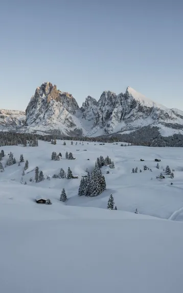 Seiser Alm Marketing Helmuth Rier 1